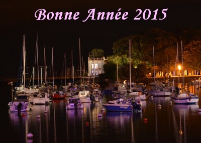 Pornic - 06/01/2015 - BONNE ANNE 2015